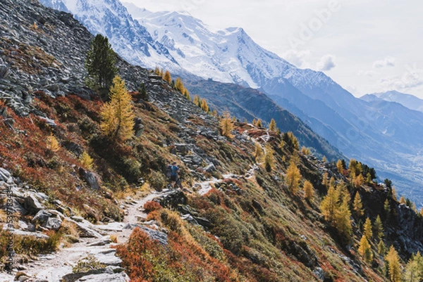 Obraz long trail in autumn mountain landscape