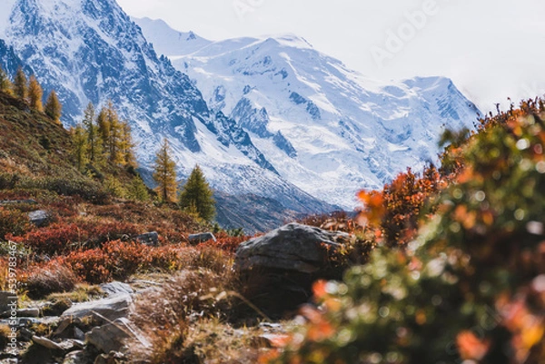 Obraz autumn red bushes with glacier in background