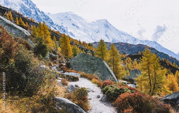 Obraz autumn mountain trail with glacier in background