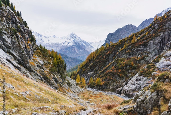Obraz autumn colors in a mountain landscape