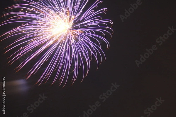 Fototapeta 花火３