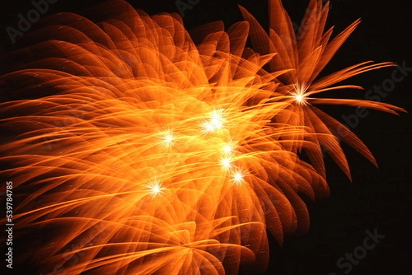 Fototapeta 花火８