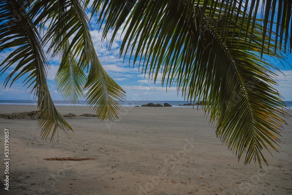 Obraz A Glimpse pf Playa Grande