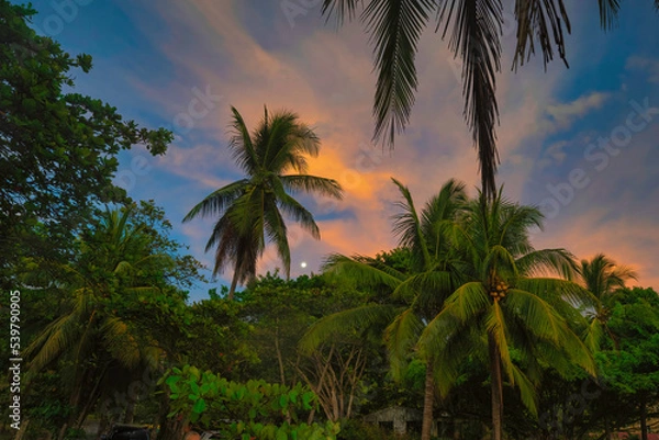 Obraz Hermosa sunset