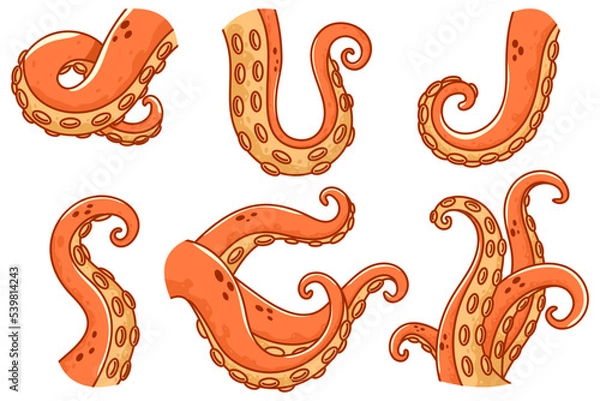 Obraz Octopus tentacles vector cartoon set isolated on a white background.