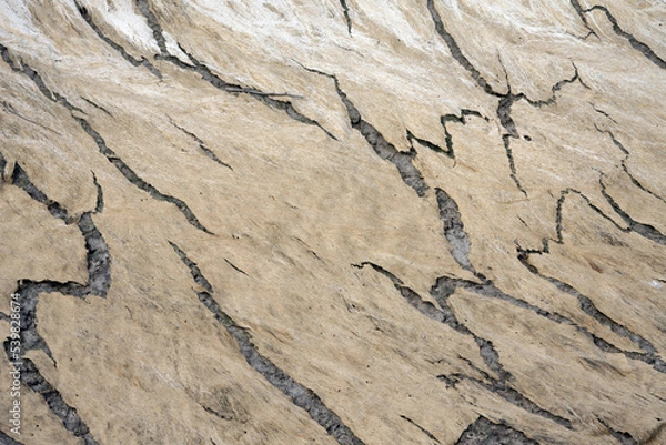 Obraz Dry riverbed texture. dry algae. Hot Clay