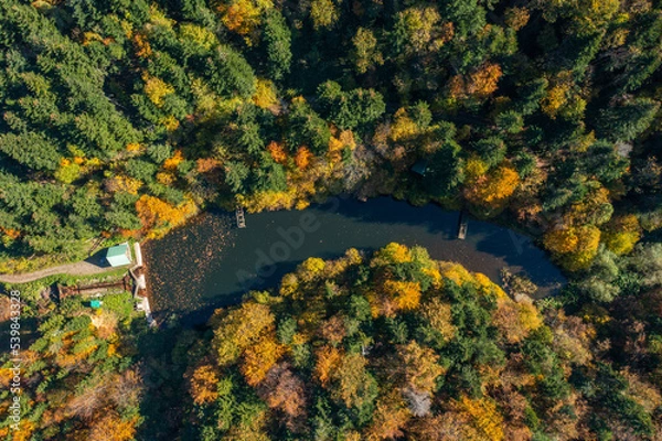 Fototapeta Beautiful scenic landscape with lake and picnic pavilion next to it surrounded with colorful trees in autumn