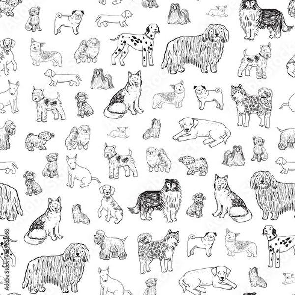 Fototapeta Dog pet breed line vector seamless pattern.