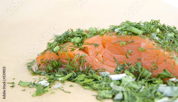 Fototapeta raw salmon