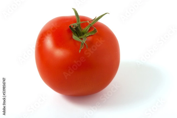 Obraz  red tomato