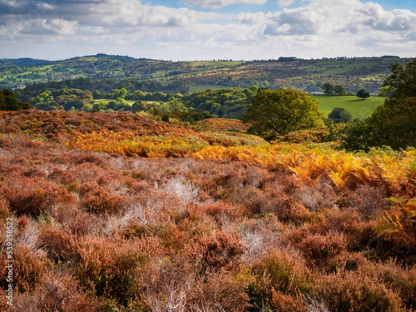 Obraz View from Stanton Moor