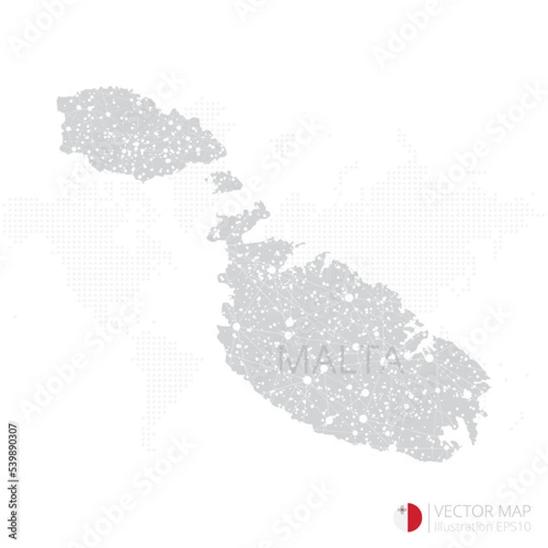 Fototapeta Malta grey map isolated on white background with abstract mesh line and point scales. Vector illustration eps 10	