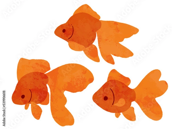 Fototapeta 水彩風の横から見た赤色の金魚