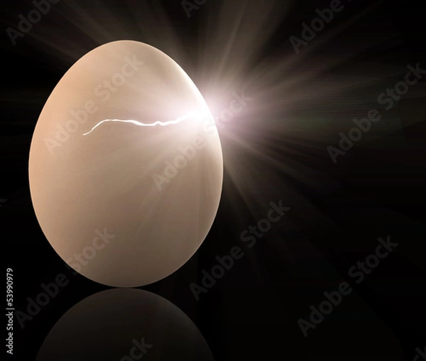 Obraz Das Küken schlüpft