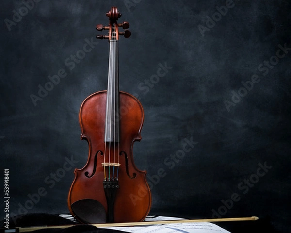 Obraz Full size violin 2