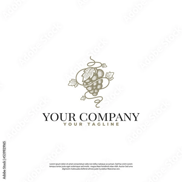 Fototapeta logo of a minimalist vintage grapes