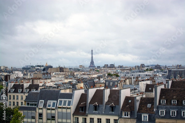 Fototapeta Paris cityscape with Eiffel Tower view on a cloudy day