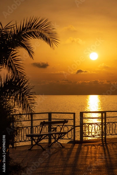 Fototapeta Dark palm trees and bench during the golden sunset at the seaside