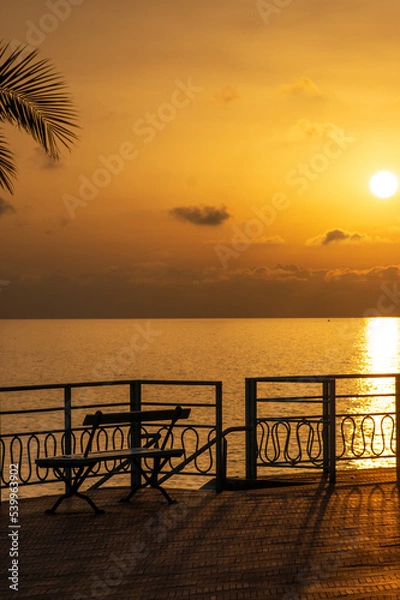 Obraz Dark palm trees and bench during the golden sunset at the seaside