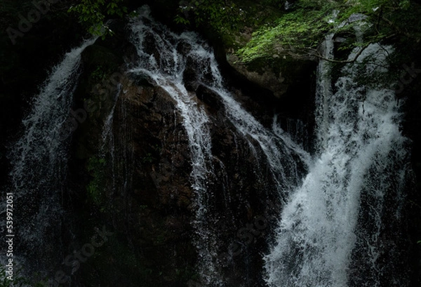 Obraz 滝の水飛沫（岐阜県）