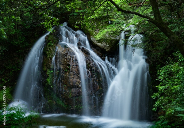 Obraz 滝の写真（岐阜県）