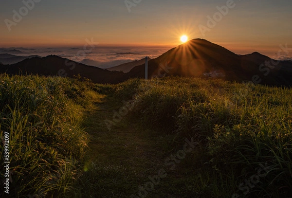 Fototapeta 四国カルストで迎える朝日と広がる草原の風景