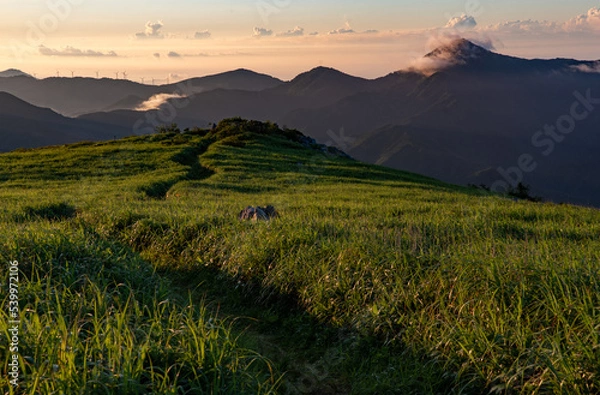 Fototapeta 朝焼けの高原（四国カルスト）