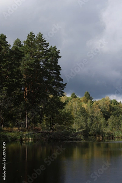 Fototapeta Autumn forest on the lake shore against a cloudy sky. Autumn landscape. The forest and the dramatic sky are reflected in the water surface.