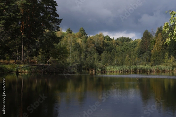 Fototapeta Autumn forest on the lake shore against a cloudy sky. Autumn landscape. The forest and the dramatic sky are reflected in the water surface.