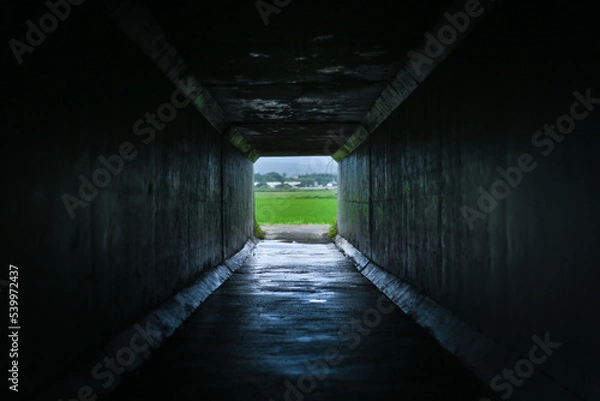 Fototapeta トンネルの出口から広がる田園風景