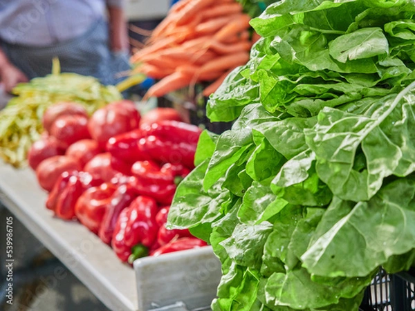 Fototapeta Selective focus of a lettuce at a market stall. Vegetables from the garden