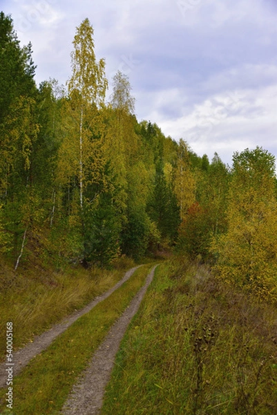 Obraz Dirt roads through the autumn fields and forests