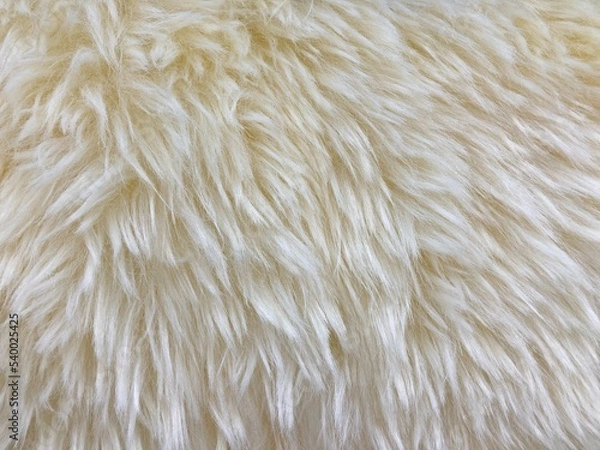 Obraz wool rug for texture background