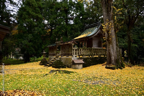 Obraz まさに日本の秋！紅葉と黄葉の競演