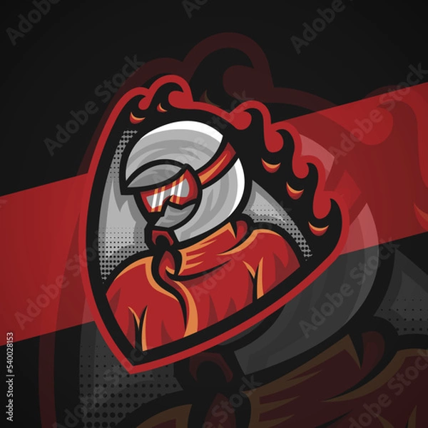 Fototapeta Racing Driver Mascot Logo — Vector Illustration