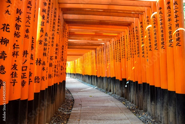 Fototapeta torii gates
