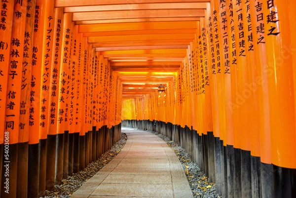 Fototapeta torii gates