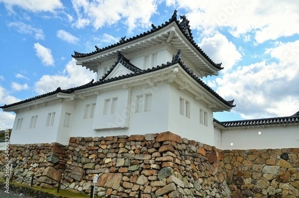 Fototapeta 田辺城 二重櫓