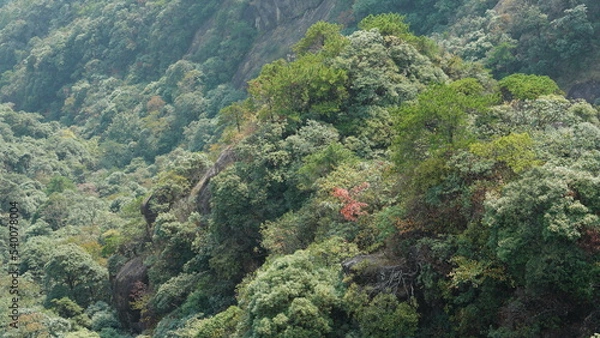 Fototapeta The beautiful mountains landscapes with the green forest and the erupted rock cliff as background in the countryside of the China