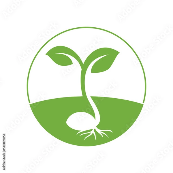 Obraz logo design for plant nursery, organic farming, christian organization. Tiny mustard plant emerging from seed.