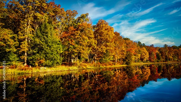 Fototapeta Autumn color in Stokes State Forest New Jersey