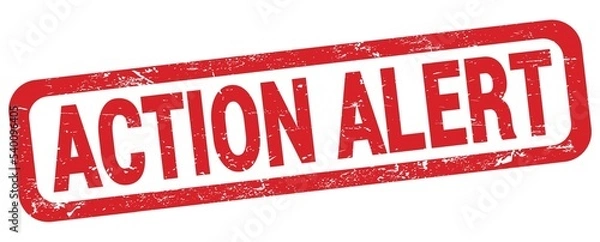 Fototapeta ACTION ALERT text written on red rectangle stamp.