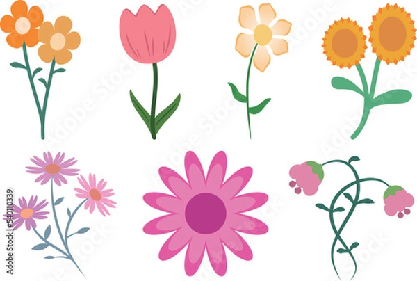 Fototapeta Collection of flower element Illustration, Floral Material decoration vector design. 