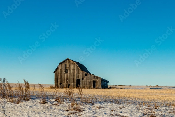 Fototapeta Rustic old barn. Red Deer County, Alberta, Canada