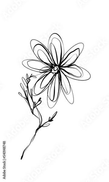Obraz White background ink line art,  flowers