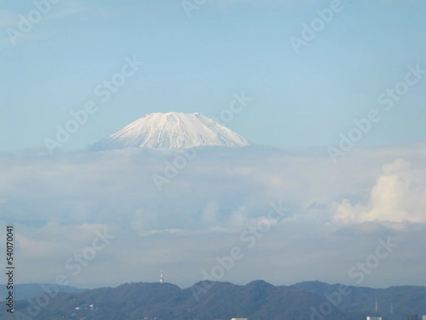 Obraz 相模湾と富士山