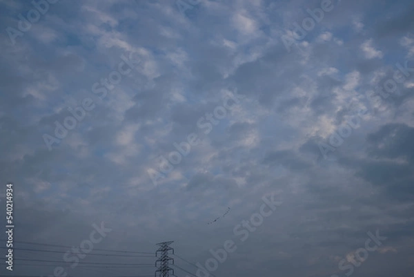 Obraz power line tower