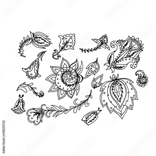 Fototapeta Set of elements for the design of botanical illustration. Black and white drawing.