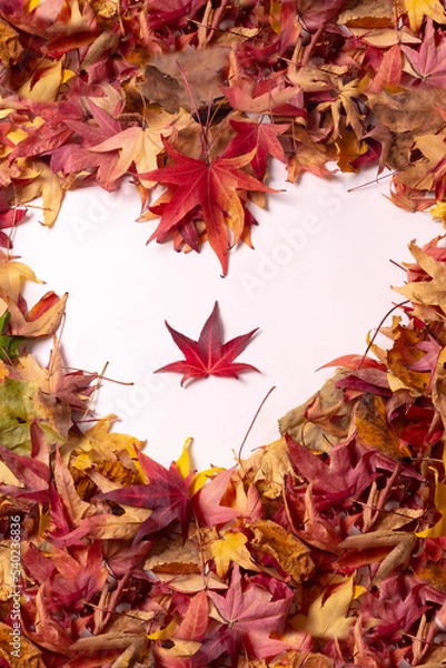 Fototapeta Autumn background, heart with colored leaves, isolated on white background