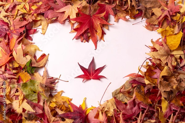 Fototapeta Autumn background, heart with colored leaves, isolated on white background with one red leaf